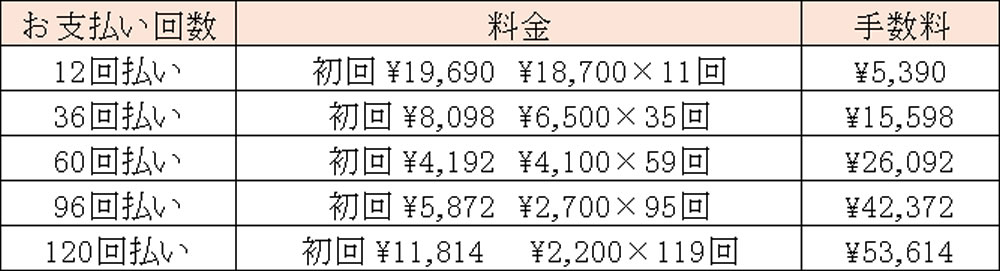 部分矯正費分割払い例